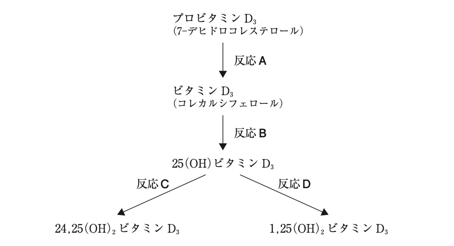 解説画像